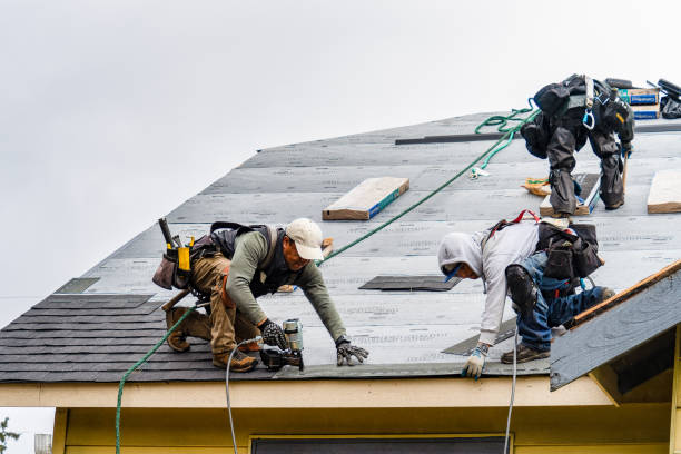 Professional Emergency Roof Repair technician working in Lawrence, MS